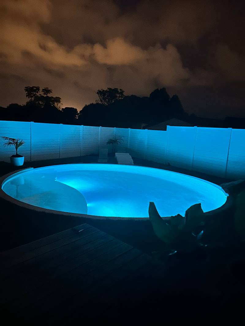 Custom pool with landscaping